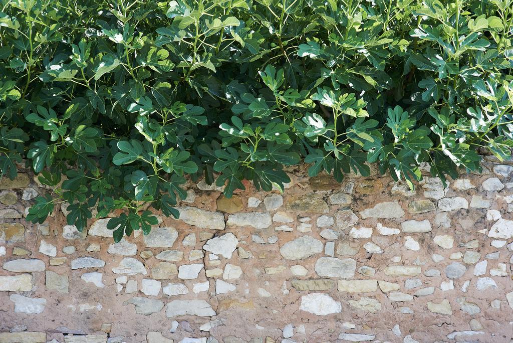 La Maison D'Ulysse Small Luxury Hotel Baron  Exterior foto